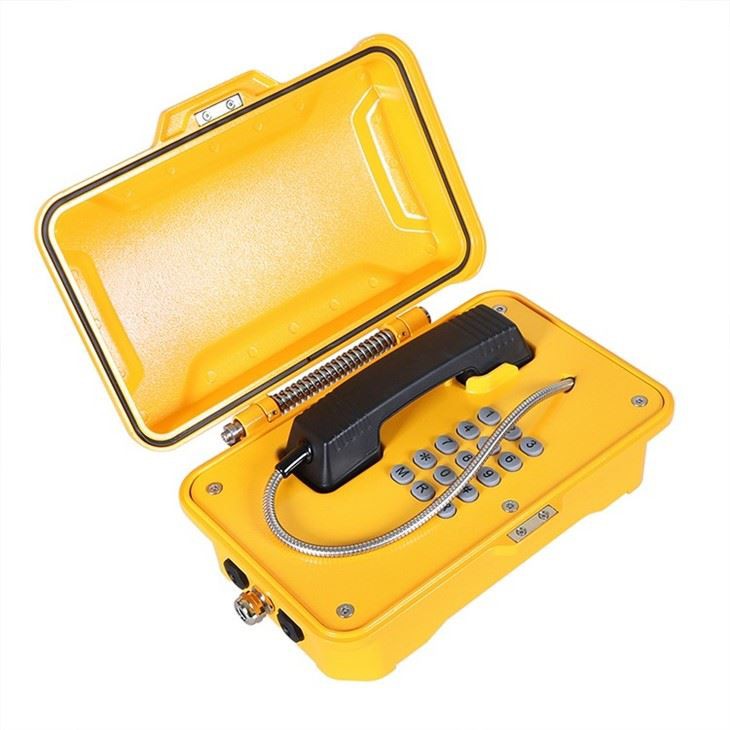 IP / VoIP Weatherproof Telephone Case